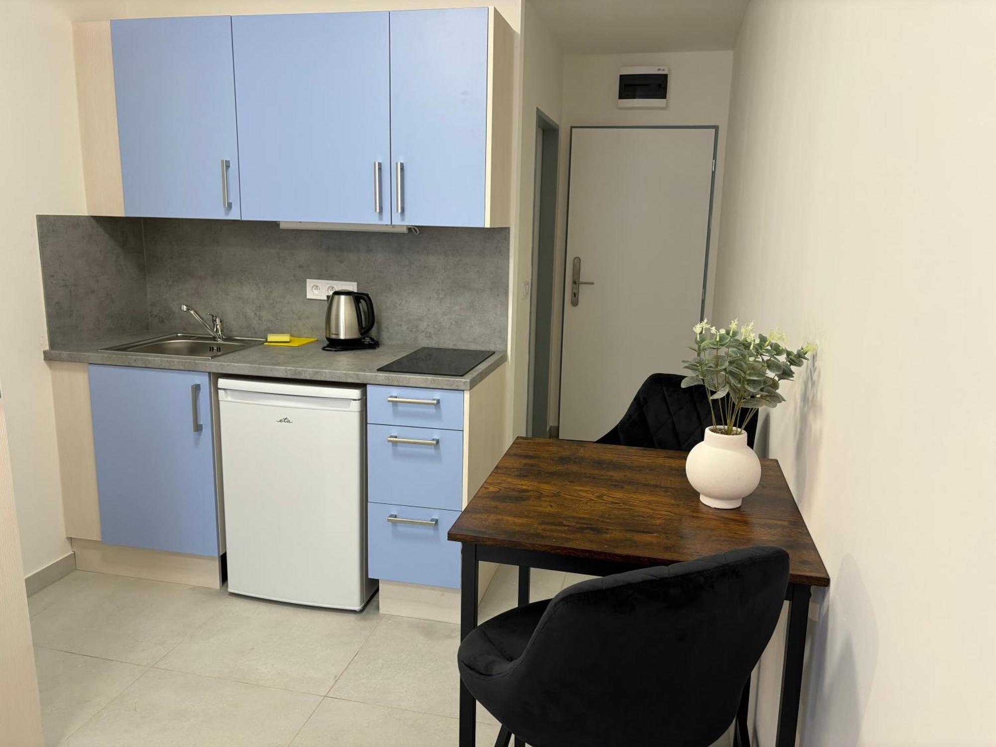 Apartmany Plzen Rolnicke Namesti 8 Экстерьер фото
